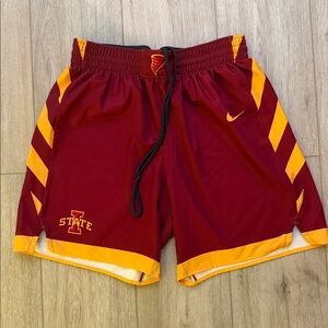 Nike Men's Iowa State Basketball Team Shorts